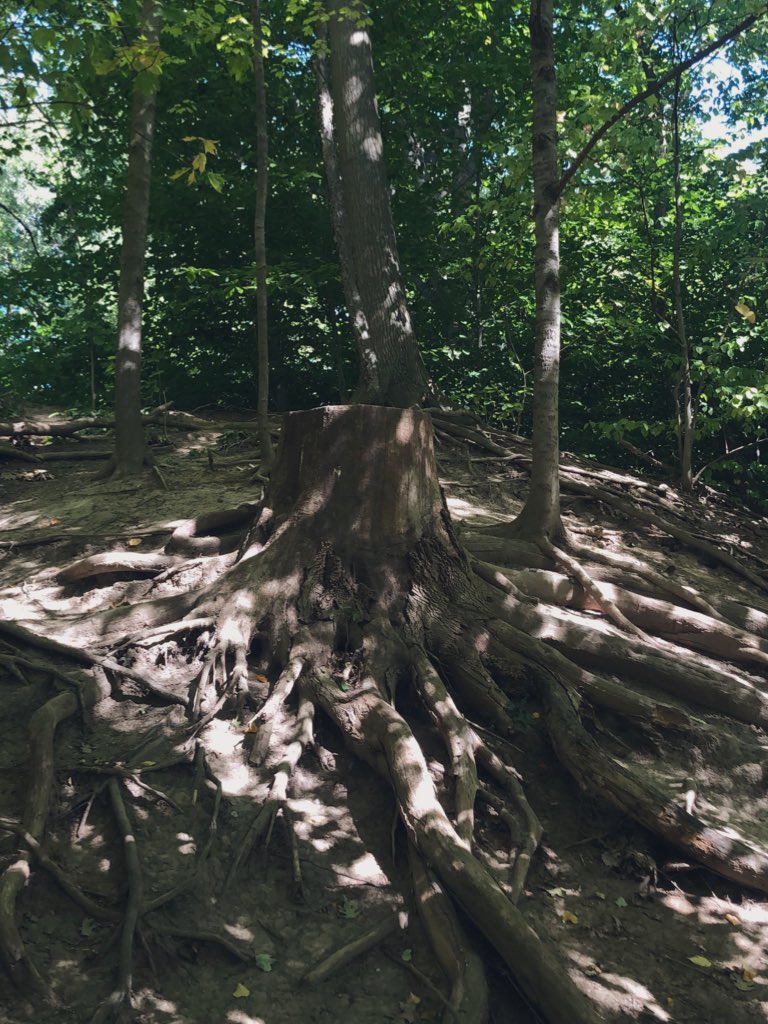 Jacqueline Uy tweet media