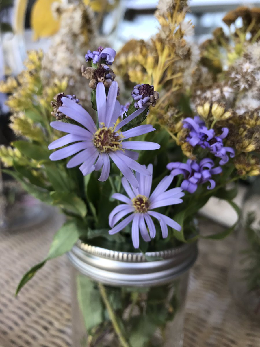 Inspiration for this week’s learning as we continue to explore the Prairies as ‘Keepers of Wild Words’. I’m inspired by #braidingsweetgrass + the September pairing of purple + gold as lived reciprocity. How can we be that for each other? <a href="/CJMCBE/">Chief Justice Milvain</a> #WeAreCBE #CBEIndigenousEd