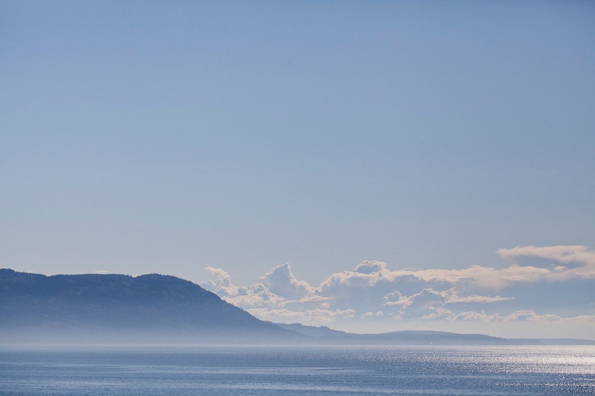 Beautiful day in the neighborhood.