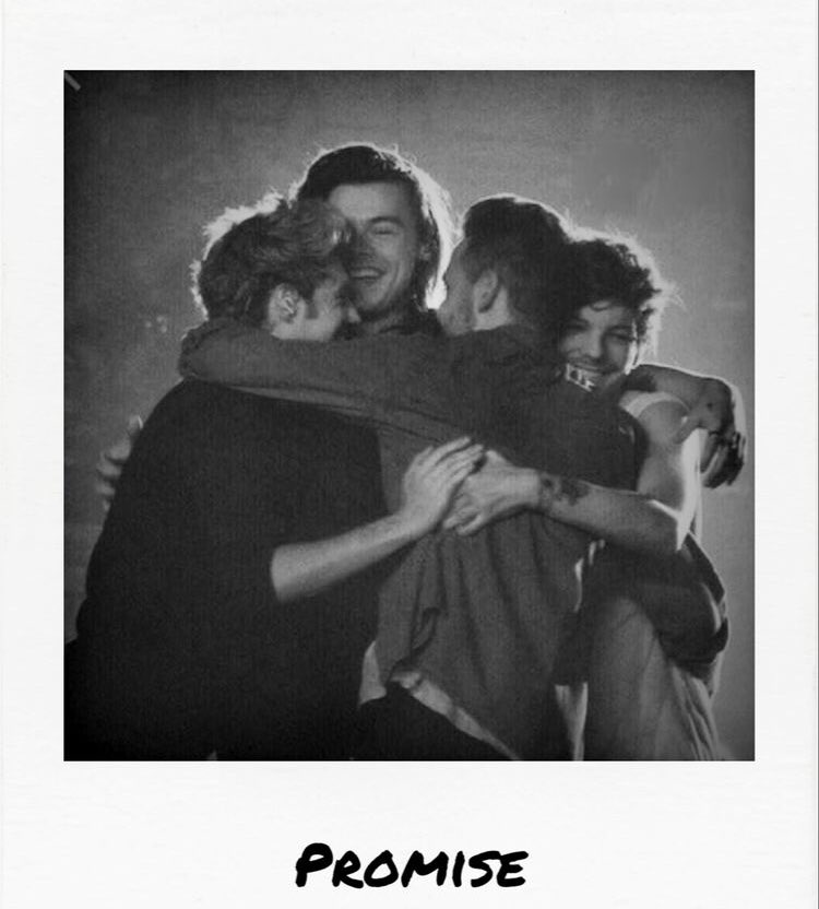 Polaroid pictures of the boys; a thread  #onedirection  