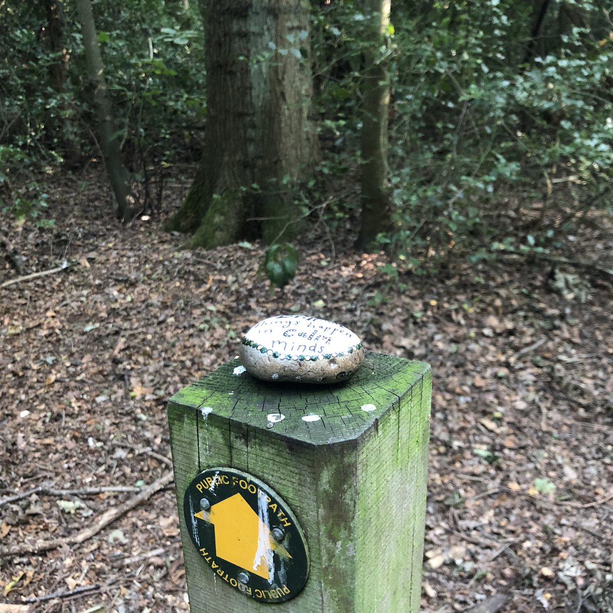 CompassionateRo's tweet image. Brilliant things happen in calm minds.

One of my favourites, out in the wild. I sure hope this makes someone smile.

#pebbleswithpurpose #KindnessMatters #rockpainting #paintedrocks #compassionrocks #compassionaterocks #365daysofcompassion #brilliance #brilliant #calmminds #calm