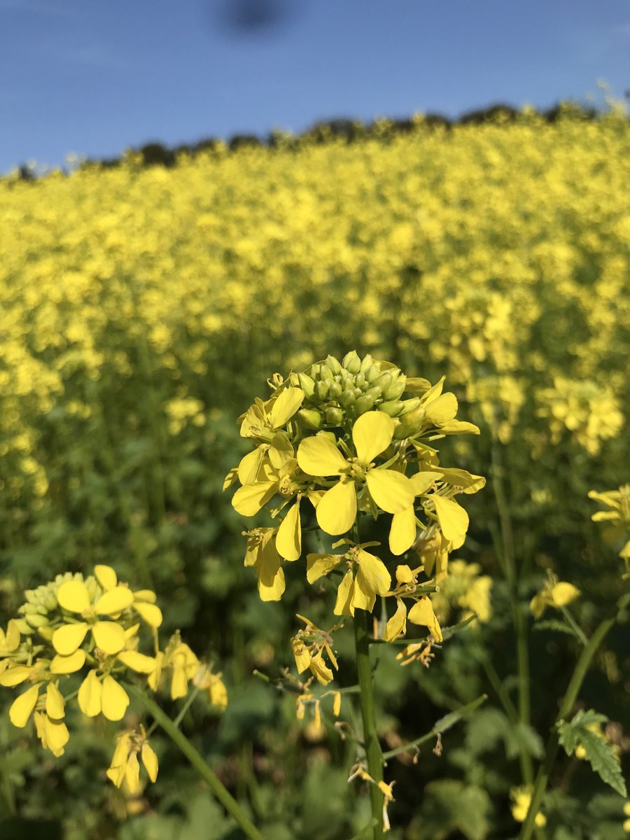 Al.Coroi (@alcoroi) on Twitter photo 