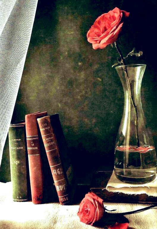 MarieDChevalier's tweet photo. 📚🖊 Un extrait de mon quatrième roman : 

           « DEUX PLUMES »

... est sur :

https://t.co/49mUrahpr4

@MDC2Plumes https://t.co/sQa7RPbXqu
