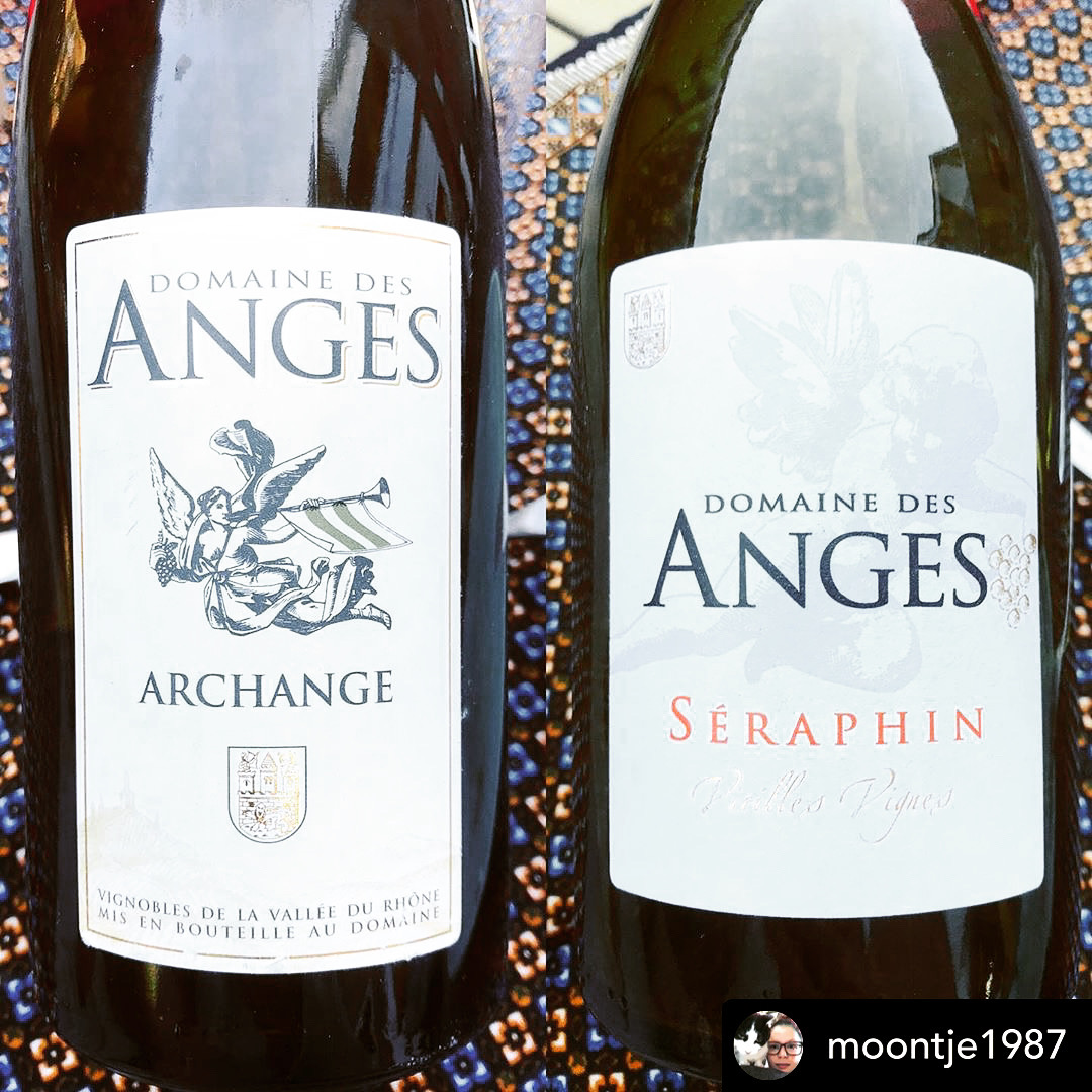 Presenting Archange and Seraphin. 
A perfect pair. 🍷🍷😍
Pic by Simone Moontje. 
#seraphin #archange #domainedesanges