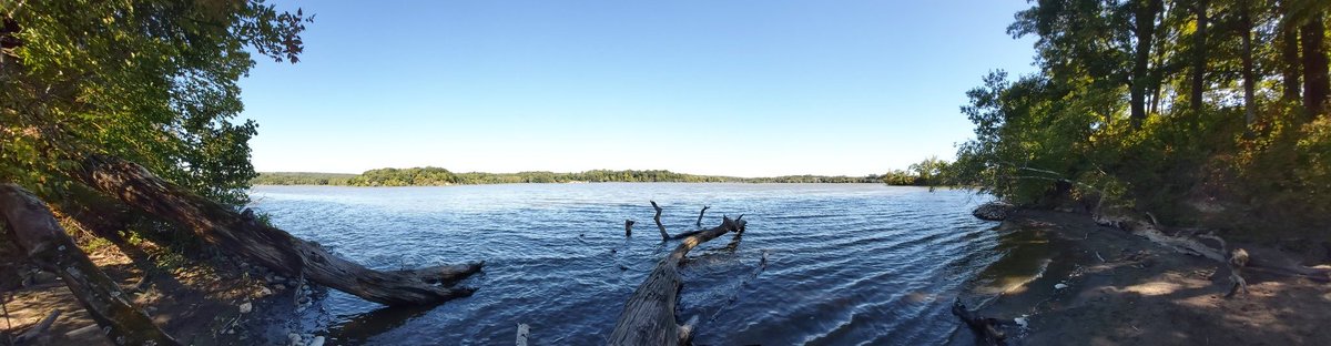 TeachMrsBarnes's tweet photo. Great hike today! Coot's Paradise.#biodiversity #nature @DiamondTrailPS https://t.co/dDGQJJw8tT