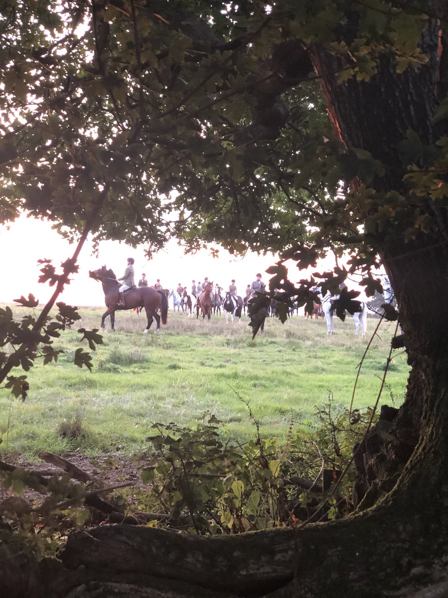 Sobering thought that there will be families attending funerals of loved ones this week with a maximum of 30 mourners. While yesterday over 40 supporters of the Portman Hunt gathered to kill fox cubs. It is an absolute disgrace and a national scandal.  <a href="/inthewychelm/">Glen Black 🐱🏴</a> <a href="/HuntSabs/">Hunt Saboteurs Association</a>