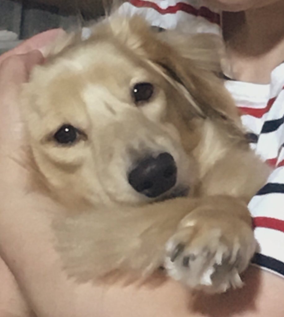 キューカンB tweet media