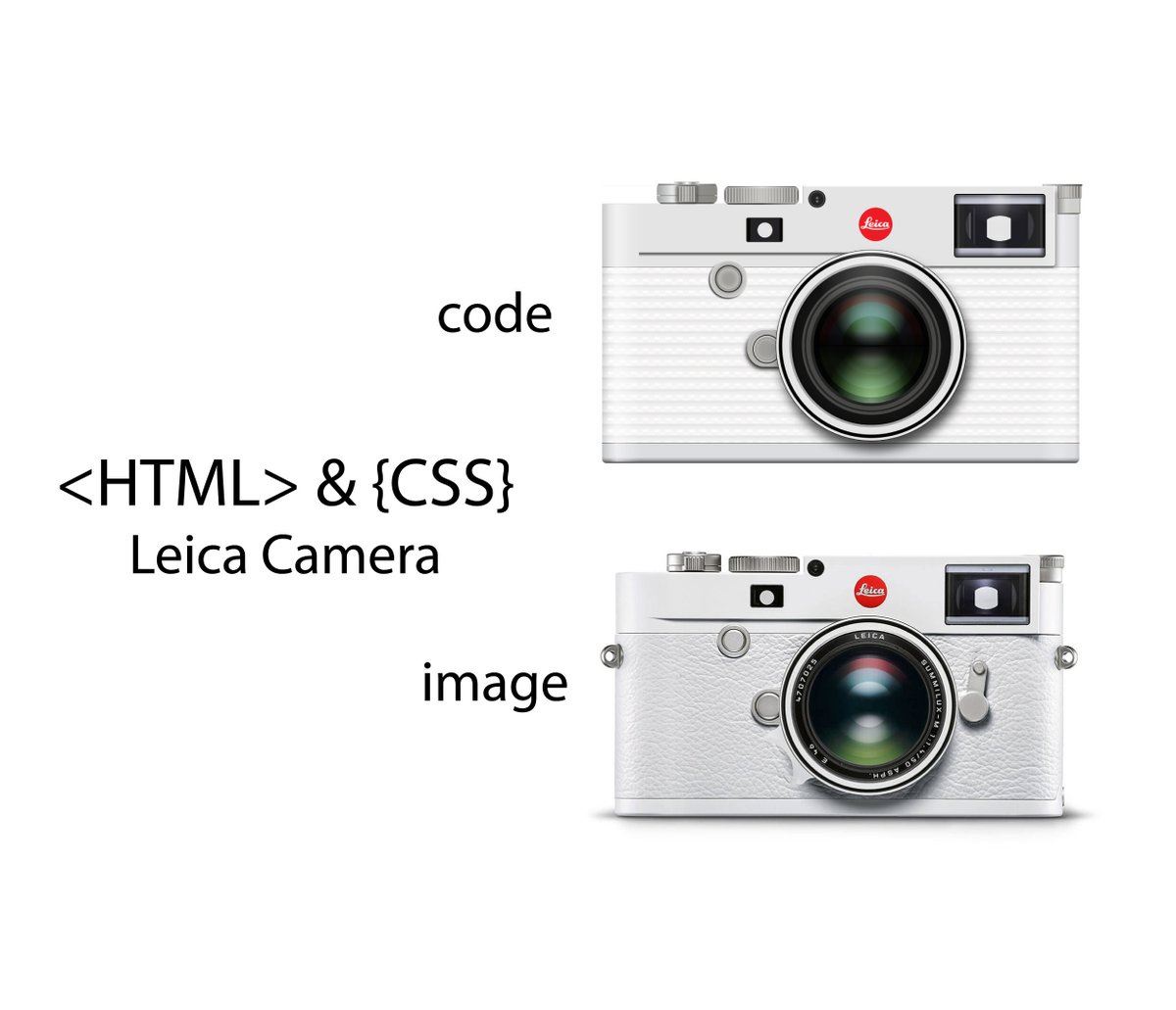 KassandraSanch's tweet image. #100DaysOfCode Day 100 finally done! This whole thing was a blast. Definitely doing a round 2. codepen.io/kassandrasanch…