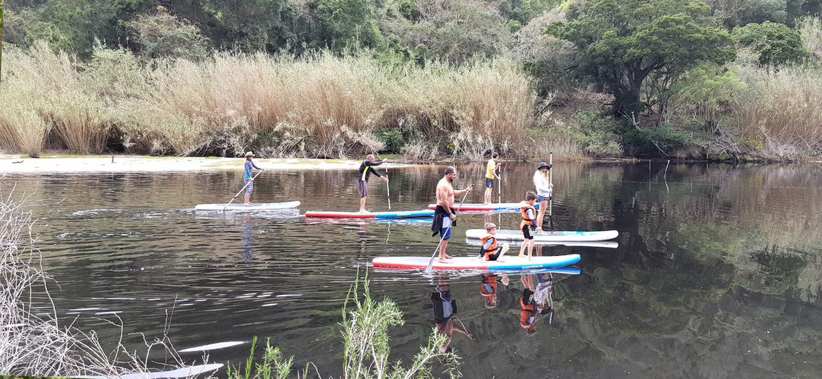 Plett Tourism tweet media