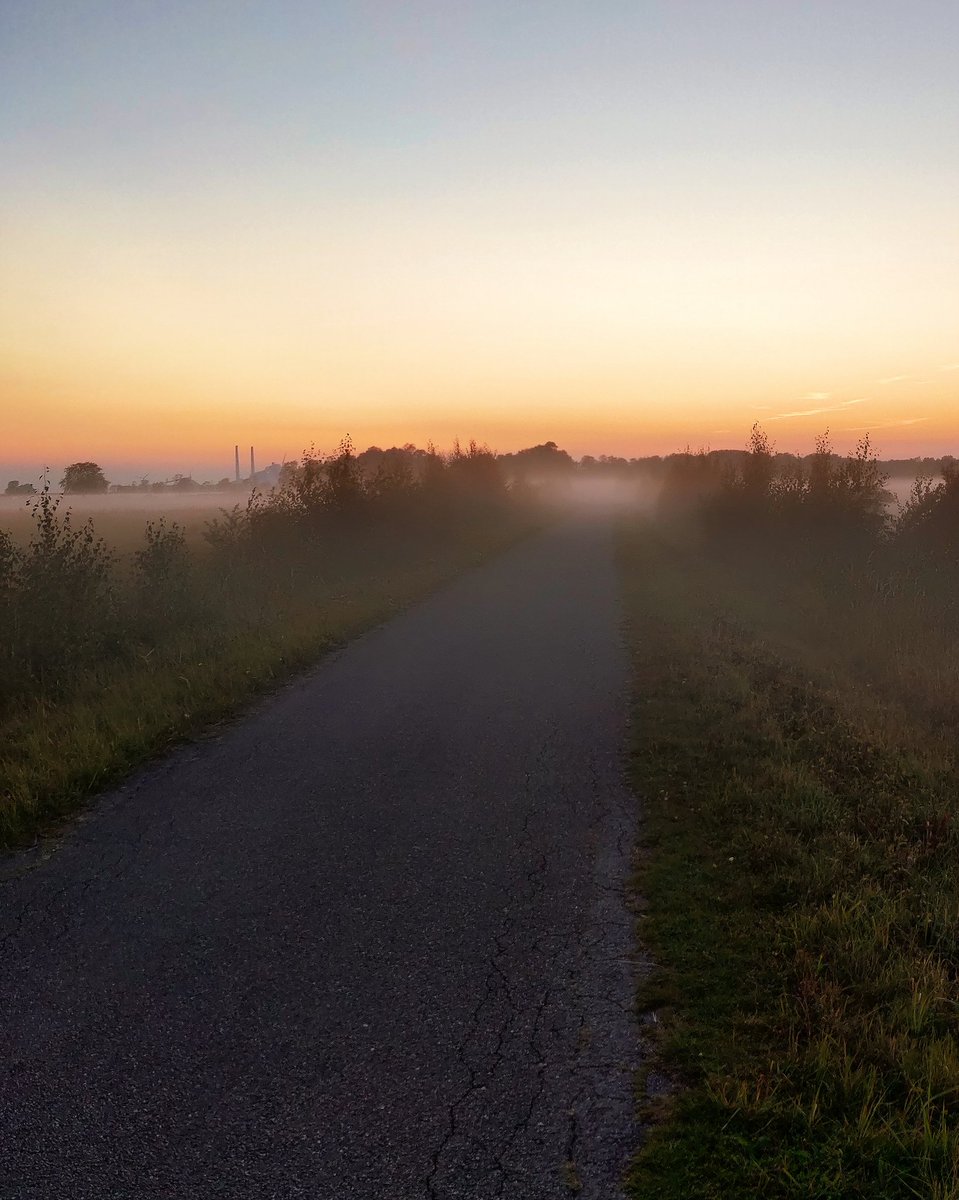 duncan_ng's tweet image. Today&apos;s #nerdrun is sponsored by the fog. Nothing quite like the sunsetting with fog covering a field full of cows. 🐮