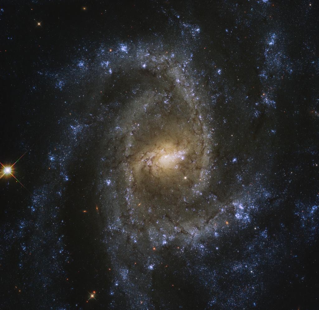 Our <a href="/NASAHubble/">Hubble</a> Space Telescope looked right in the eye of this galaxy at the head of the southern constellation Hydra. The bright blue areas show recent or ongoing star formation: go.nasa.gov/33Ox3y9