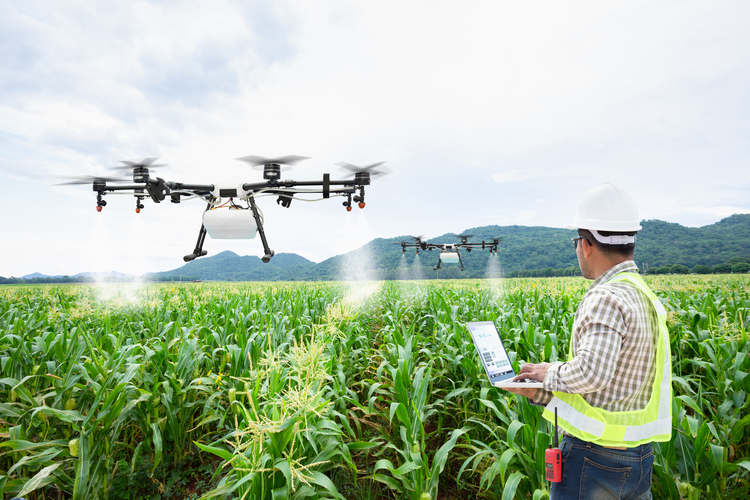 SobroDomains's tweet photo. https://t.co/hrJWUP5XK5 for sale #startups #startup #companynames #newbusiness #business #startupbusiness #technology #GoDaddy #BusinessNews #techno #brand #brandable #undeveloped #domain #domains #blockchain #cryptocurrency #Marketing #sobro #farming #Robots #drones #Robitic https://t.co/fPhOLA1HOn
