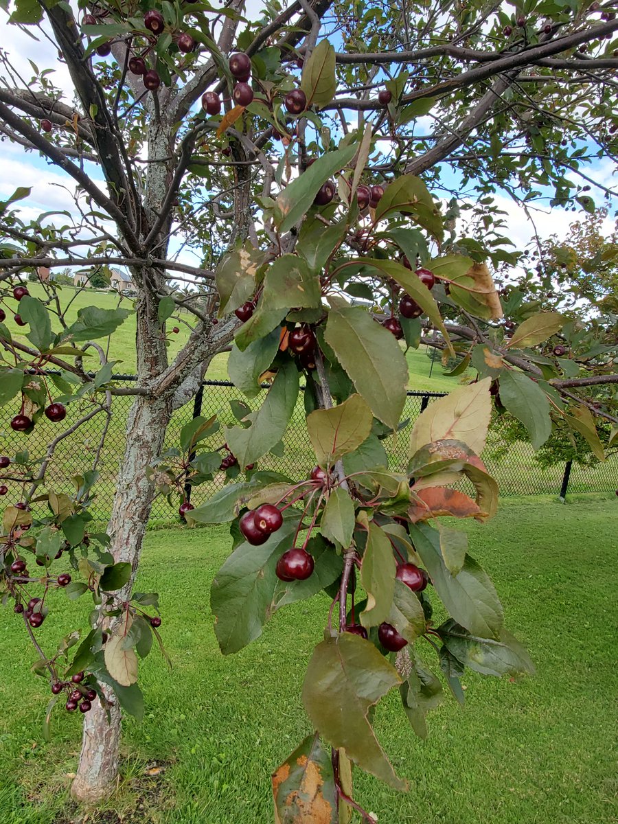 Laura Davis tweet media