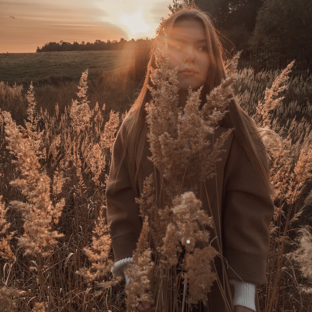 золотые колосья пшеницы🌾🌕