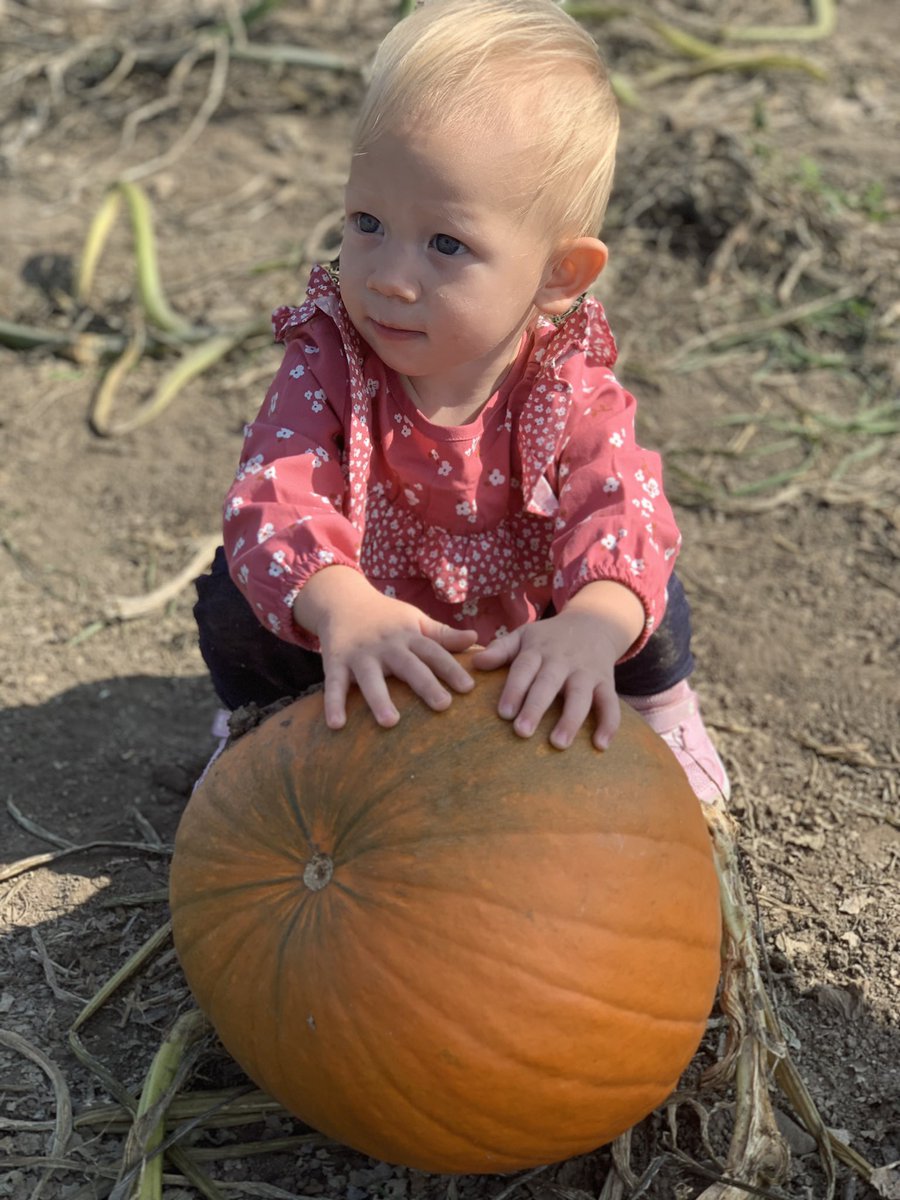 BudnyPatrick's tweet photo. Having a great time apple picking with the family! 🍎🍏🌞 https://t.co/TaylISwD4n