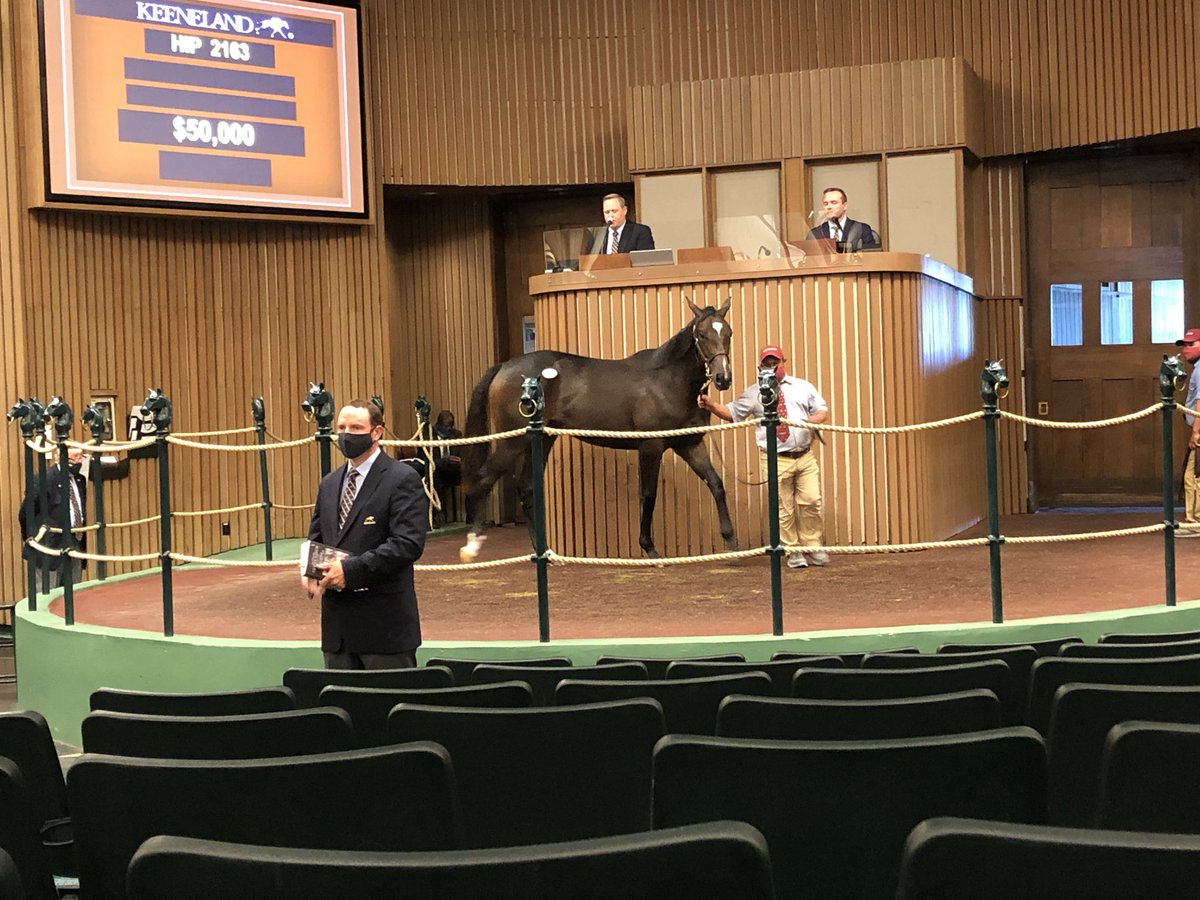 Goodwoodracing's tweet photo. Final purchase ⁦@keeneland⁩ #Violence filly ⁦@TaylorMadeSales⁩ #goteam ⁦@cibelliracing⁩ https://t.co/sQWMaWbhwC