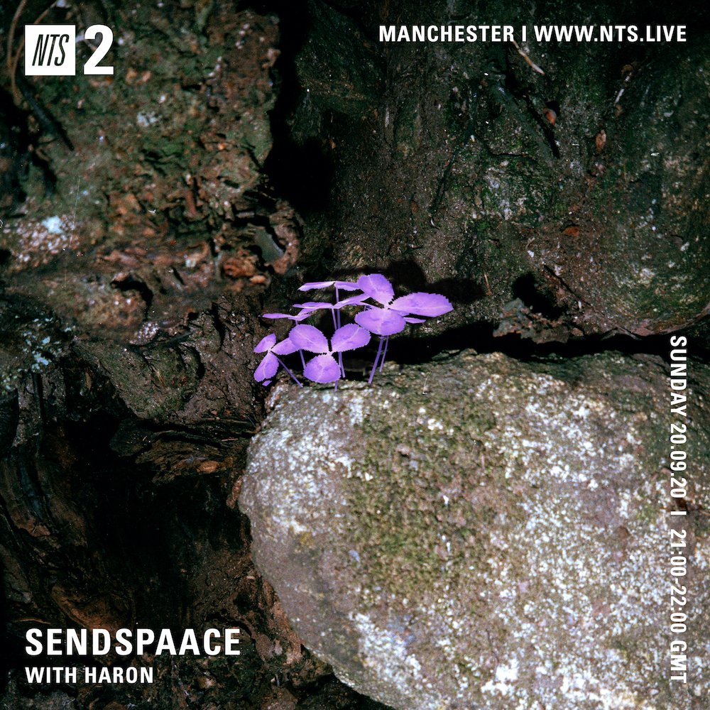 NTS Radio tweet media