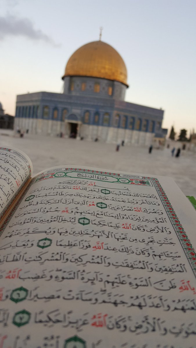 Hz. Yakub'un sünnetidir, kavuşma ümidini kaybetmemek.. 💕 https://t.co/mJQCUngI05