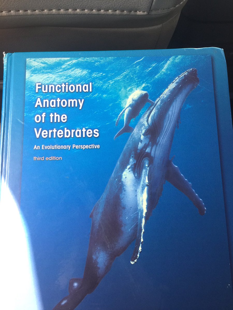 robbp72's tweet photo. Never stop learning!! #oceanschool #WhaleWednesday #humpbackwhales #animals #learning https://t.co/GqodlSblsq