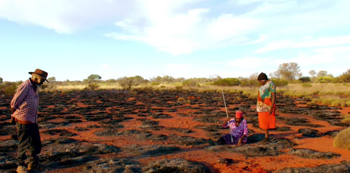 simonschooling's tweet image. Obsessing over #Cooked by @michaelpollan this afternoon while prepping and grading. I&apos;m def incorporating this docuseries into Global Health next unit. Those first two minutes in Western Australia hooked me and now I&apos;m mesmerized by visualizations of bread chemistry. #AHCScience