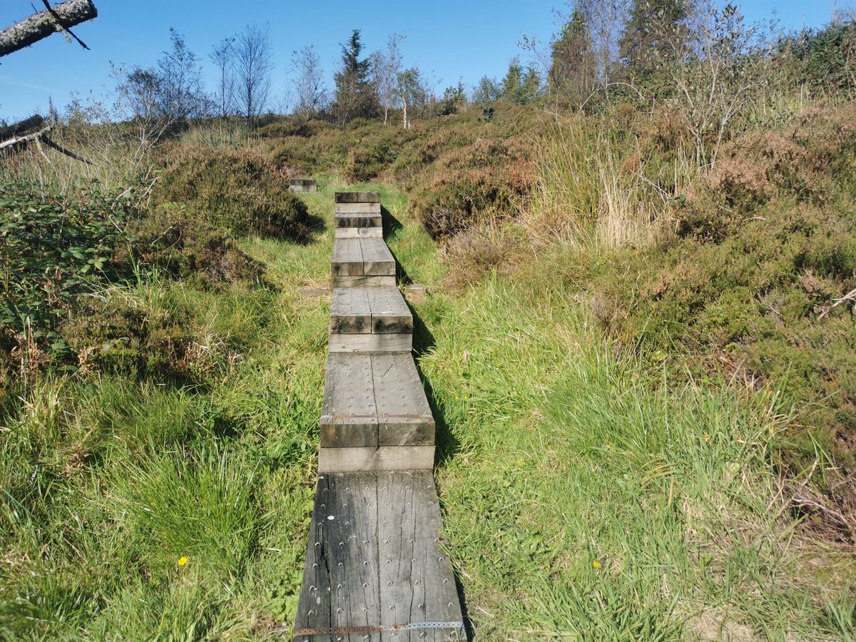 ConaghanSarah's tweet photo. @cavanburrenpark #megaliths #history #walks #geopark #cavan @TridentHolidayHomes #staycation absolutely amazing https://t.co/V2yZ17cMmy