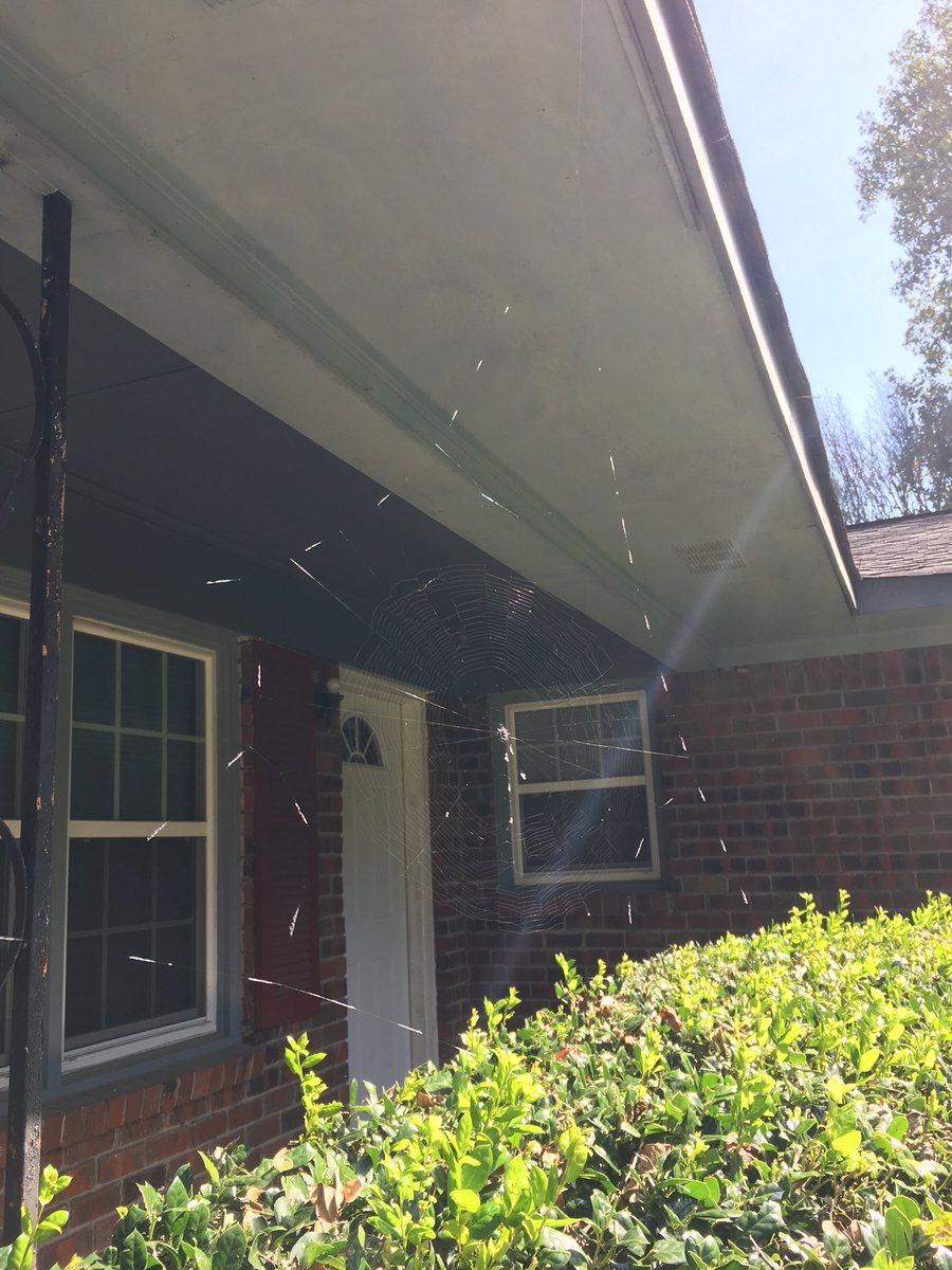 CheeseTree43's tweet image. Some fascinating stitch work.