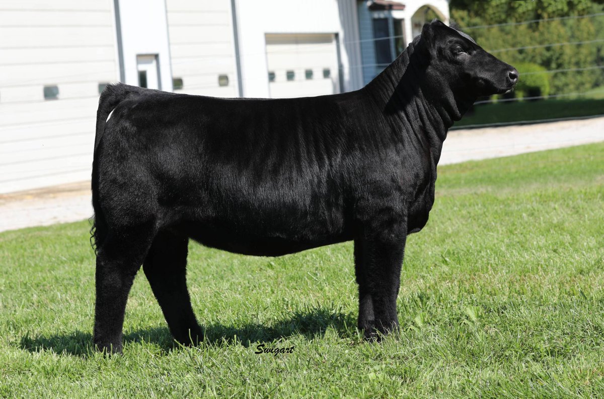 Lot 5 sells for $7600