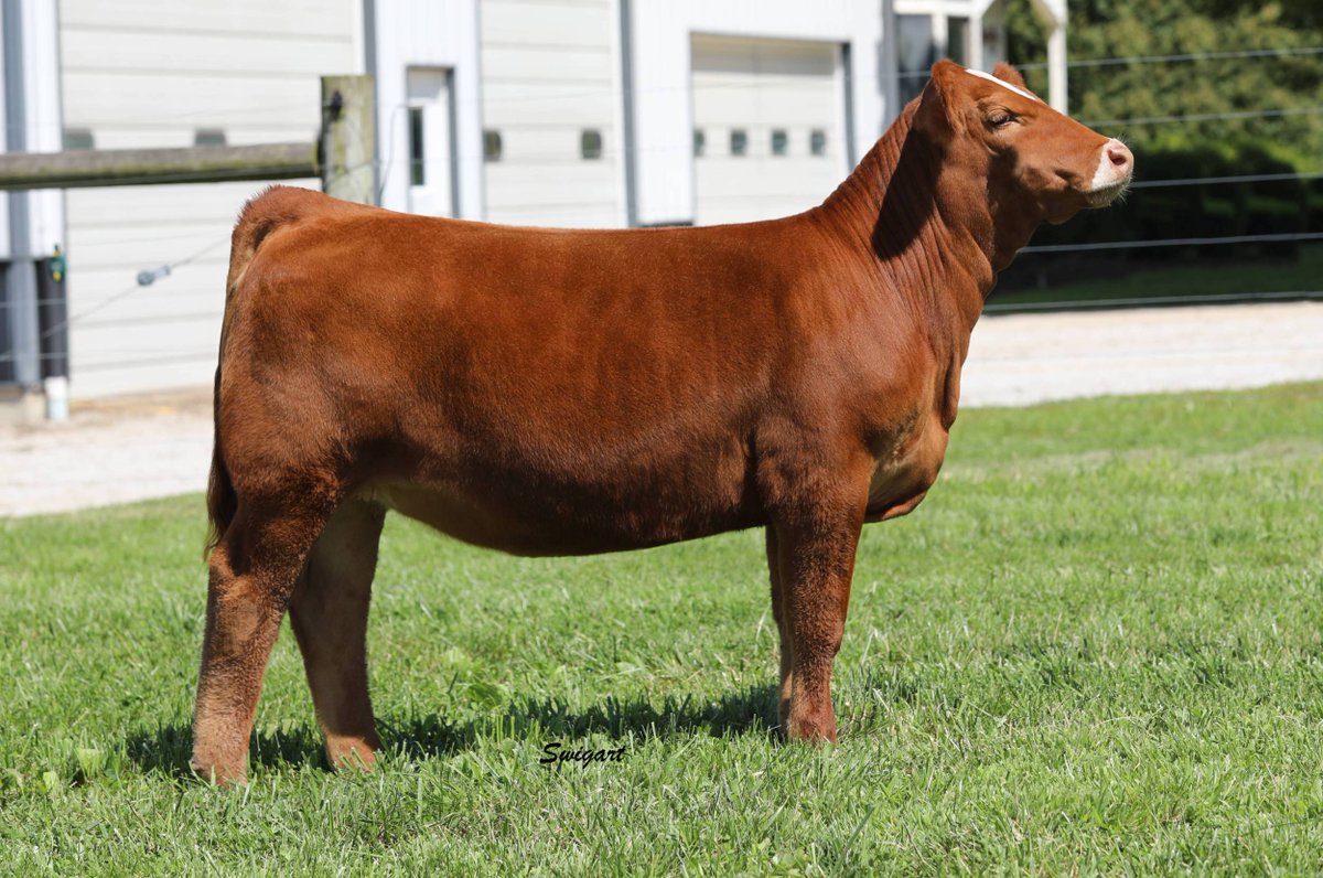 Lot 22 goes for $3800