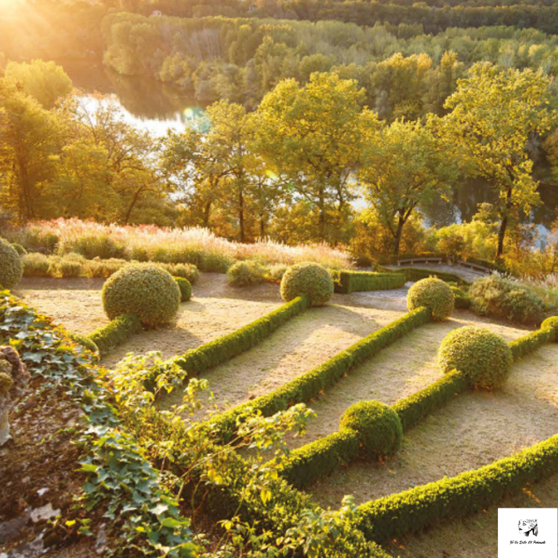 EnsembleTebep's tweet photo. The enchanting Gardens of Veyrignac. Wonderful!🍂🍂
#sharonsantoni 
MFCH magazine Sept/Oct 20, Now on sale in https://t.co/755iGXnTUv
👉Link in bio
#Tebep #TuesBelleetPuissante #YouBeautiful #YouPowerful #woman #frenchstyle #Paris #fashion #clothes 
#myfrenchcountryhomemagazine https://t.co/Ue2z5Zm68R