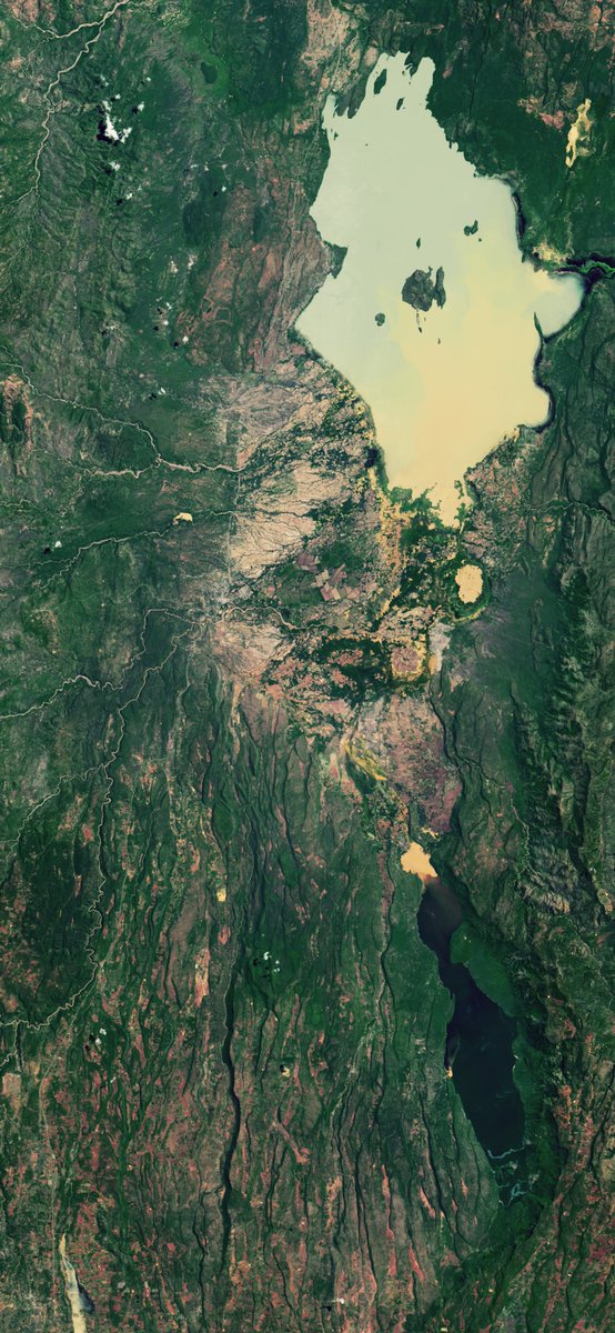 KResearcher's tweet photo. The rising levels of R.Valley lakes has to be the most interesting environmental activity of this decade in Kenya. L. Baringo has expanded by 60% in the last 7 years and L. Bogoria by 25% in the same period. The big worry is the 2 lake may merge. One is fresh the other alkaline. https://t.co/JCvugdTcHy