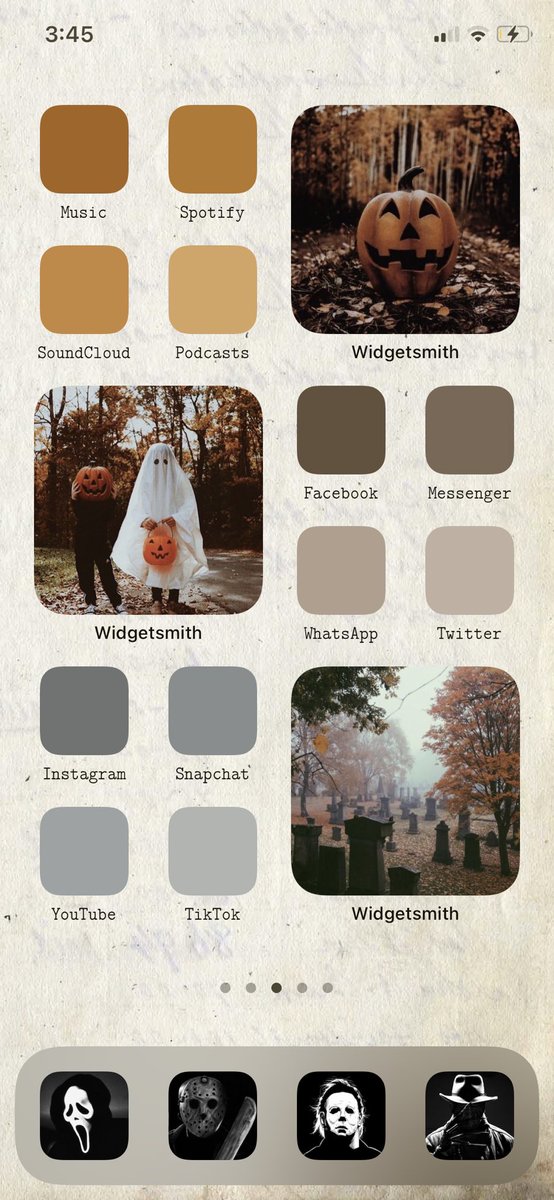 brooke_maresca's tweet photo. A lil late but my iOS14 layout still deserves a lil attention 💀👻 #ios14homescreen #iOS14 https://t.co/tmiG12Kvem
