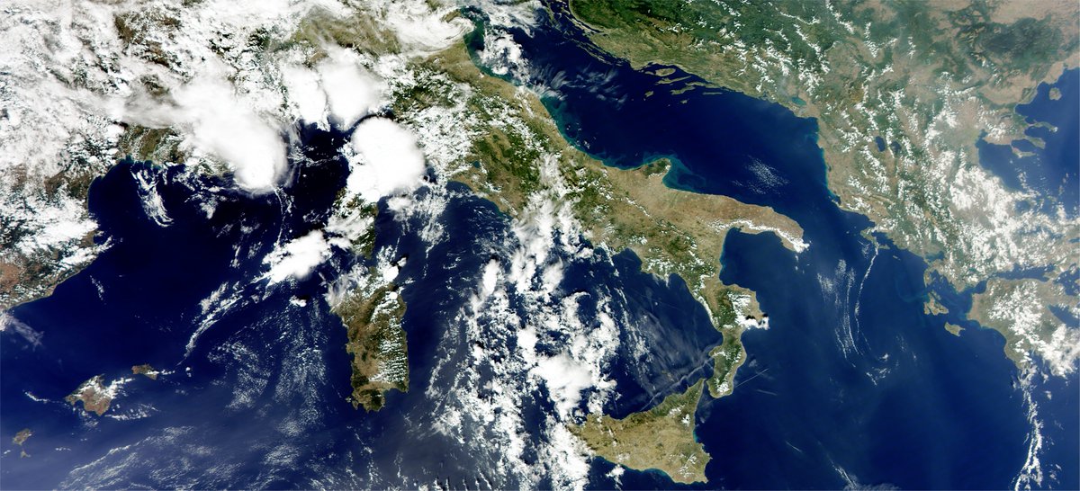 Fred Jansen tweet media