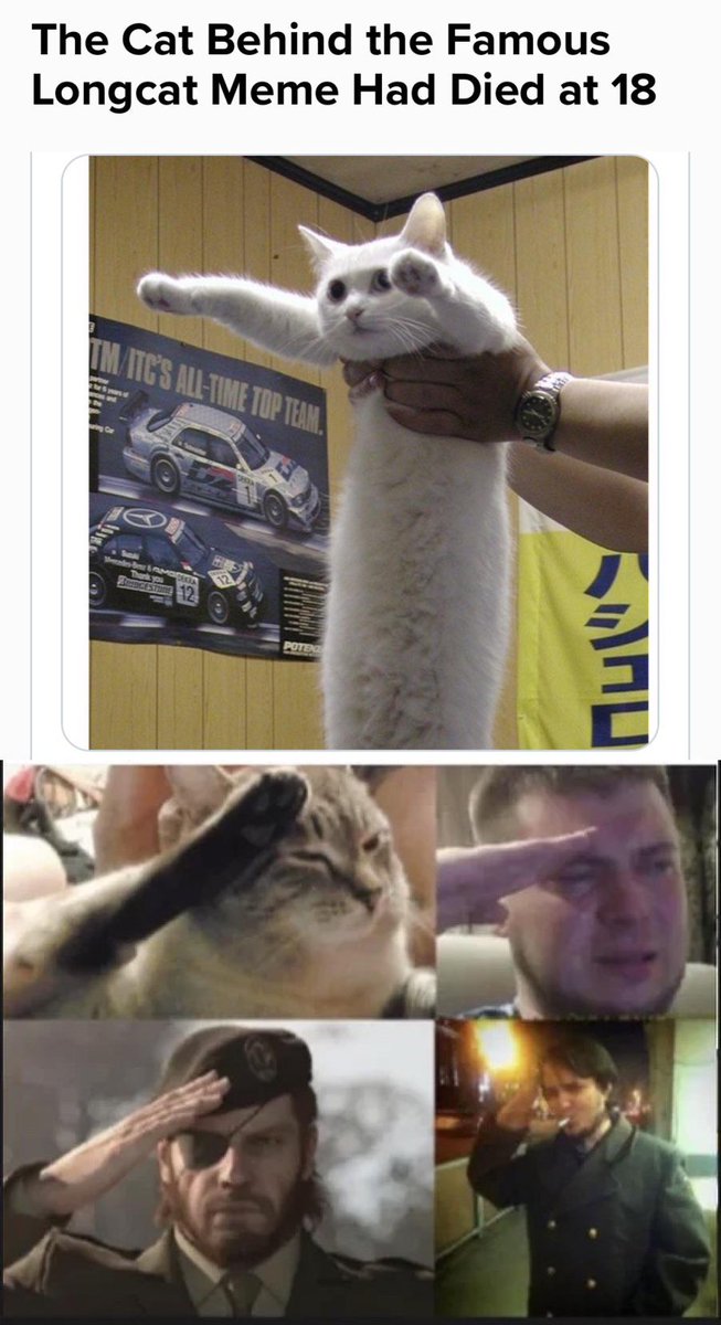 my uncle's meme stash on X: Press F to Pay Respects to Longcat   / X