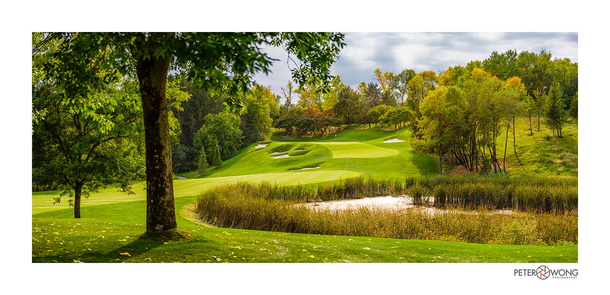 Latest images from my favourite golf course to photograph, Spring Hill Golf Club.