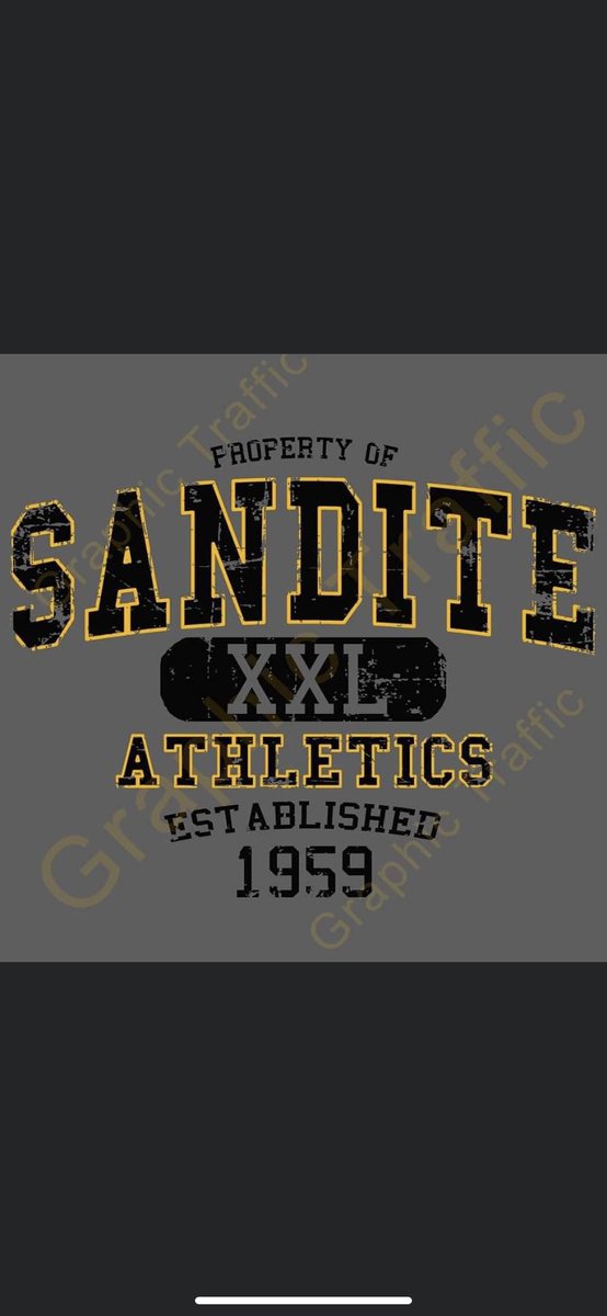We are selling T-shirts &amp; hoodies!!!
Orders &amp; money are due this Friday 9/25

DM us to get yours!!!🏈🍂💛🤍