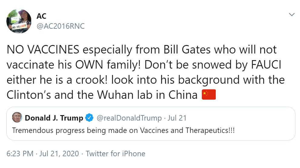 Some of these GOP  #NHHouse candidates sound a little extreme"NO VACCINES especially from Bill Gates who will not vaccinate his OWN family! Don’t be snowed by FAUCI either he is a crook! look into his background with the Clinton’s and the Wuhan lab in China" - Anne Copp, R-Derry