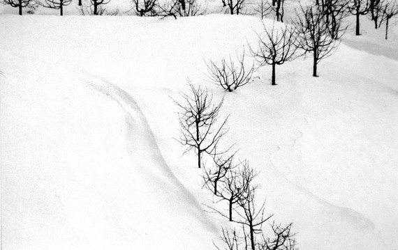 レア：Abbas Kiarostami Snow White　キアロスタミ Anne Mortier on X: 