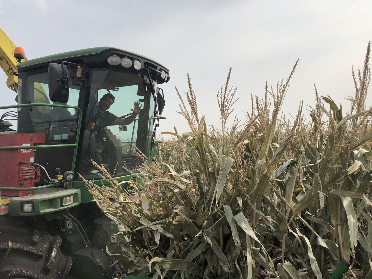 Thanks <a href="/Greencow10Lloyd/">Lloyd Grenkow</a>  for helping out a neighbour when your own machine quit on u.  One day I’ll get a better chopper but this way we get to see ya