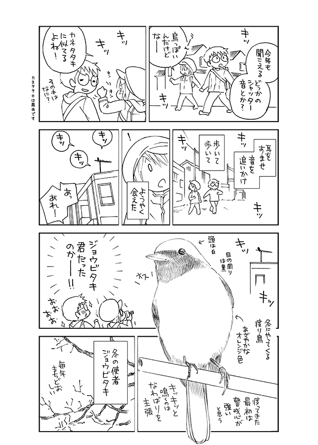 #エアコミティア
#エアコミティア_動物

鳥を見ながら散歩する漫画です。

漫画をupするの初めてかも。鉛筆漫画ですが、せっかくなので少しだけ…! 