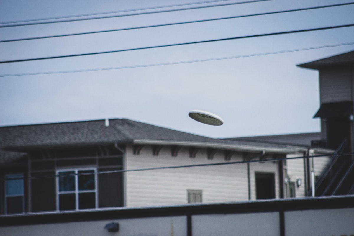 It was a good Saturday for frisbee 🥏📸