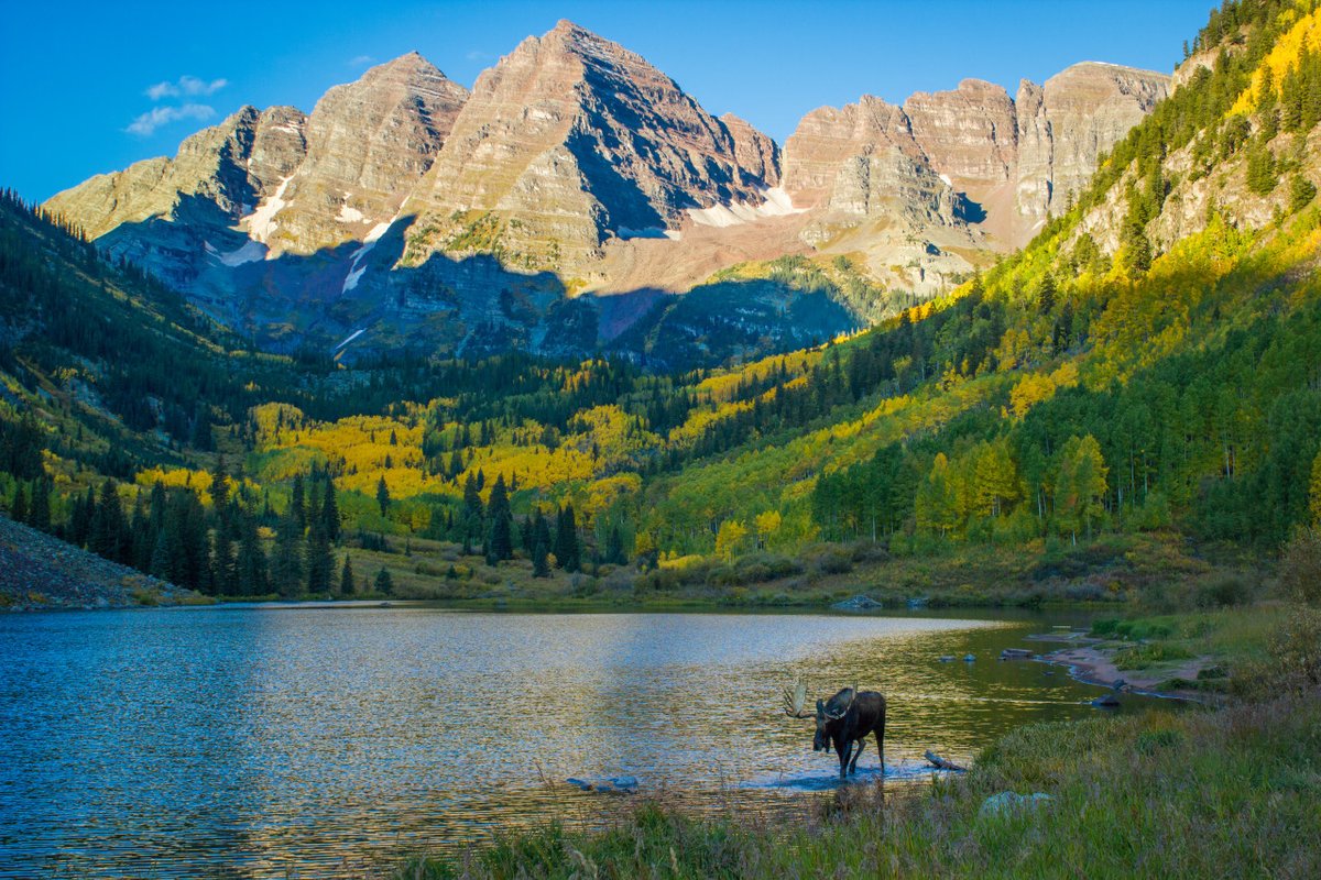 See why Aspen is one of the top places in the US to see the fall foliage via <a href="/JetsetOnline/">Jetset Magazine</a> 
bit.ly/3cfMjYr