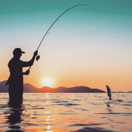 Search Fishing (@searchfishing) on Twitter photo 