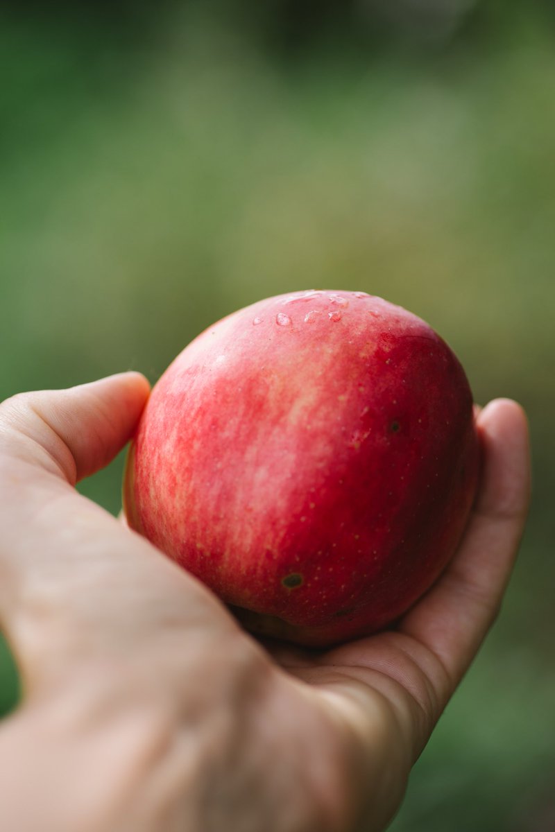 We hope you had a great weekend and enjoyed all the sunshine! A reminder that tomorrow (September 21) is the day to donate apples to The Apple Sauce project! Donations are being accepted from noon until 3pm at Lakeside Baptist Church at 9 Park Street in Haliburton. #applesauce 🍏