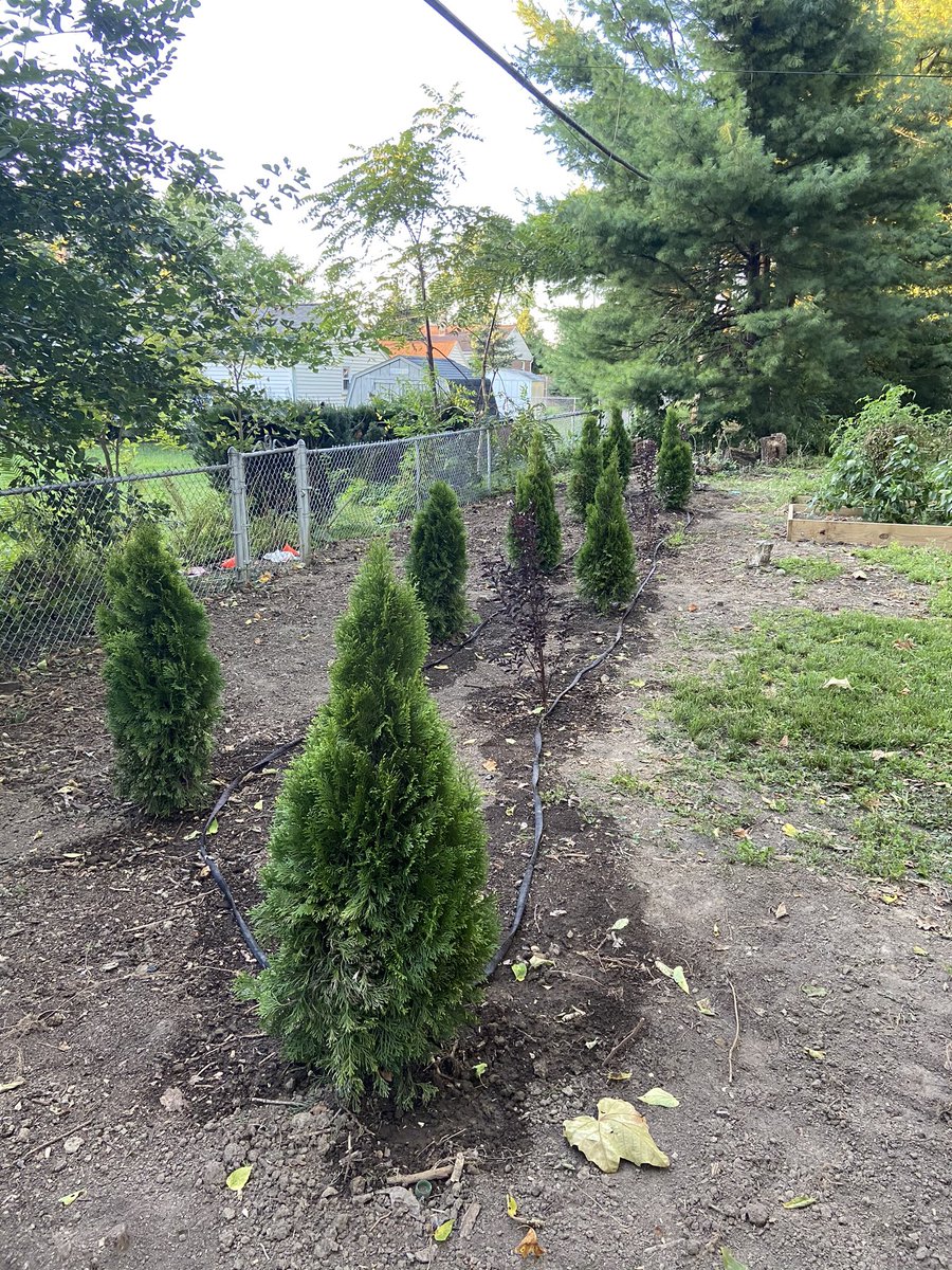 WittLaxCoach's tweet photo. Great weekend!  #fallyardwork https://t.co/lcuqtYWJ73