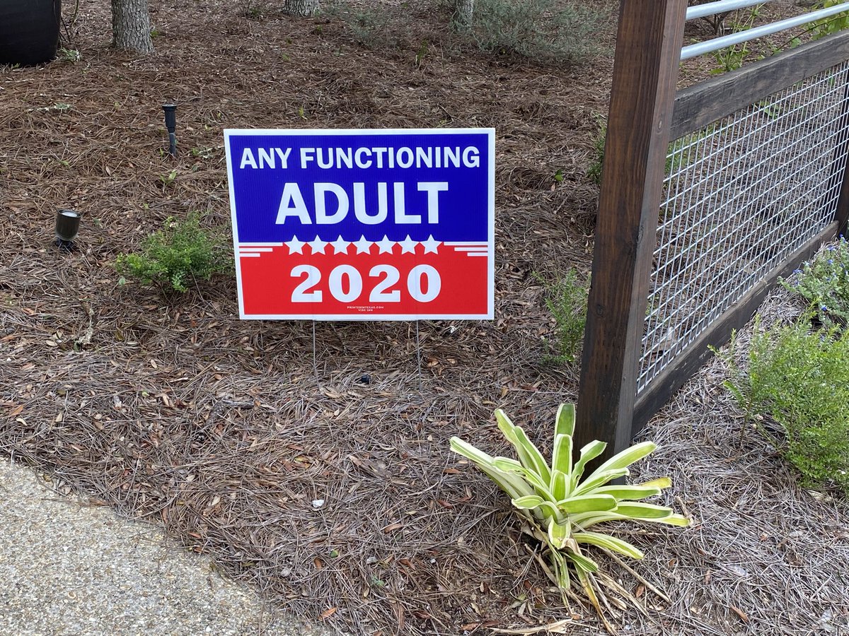 BexitWesty's tweet photo. And by that I mean: #BidenHarris2020ToSaveAmerica #EhrforCongress https://t.co/x6WxQrFpez
