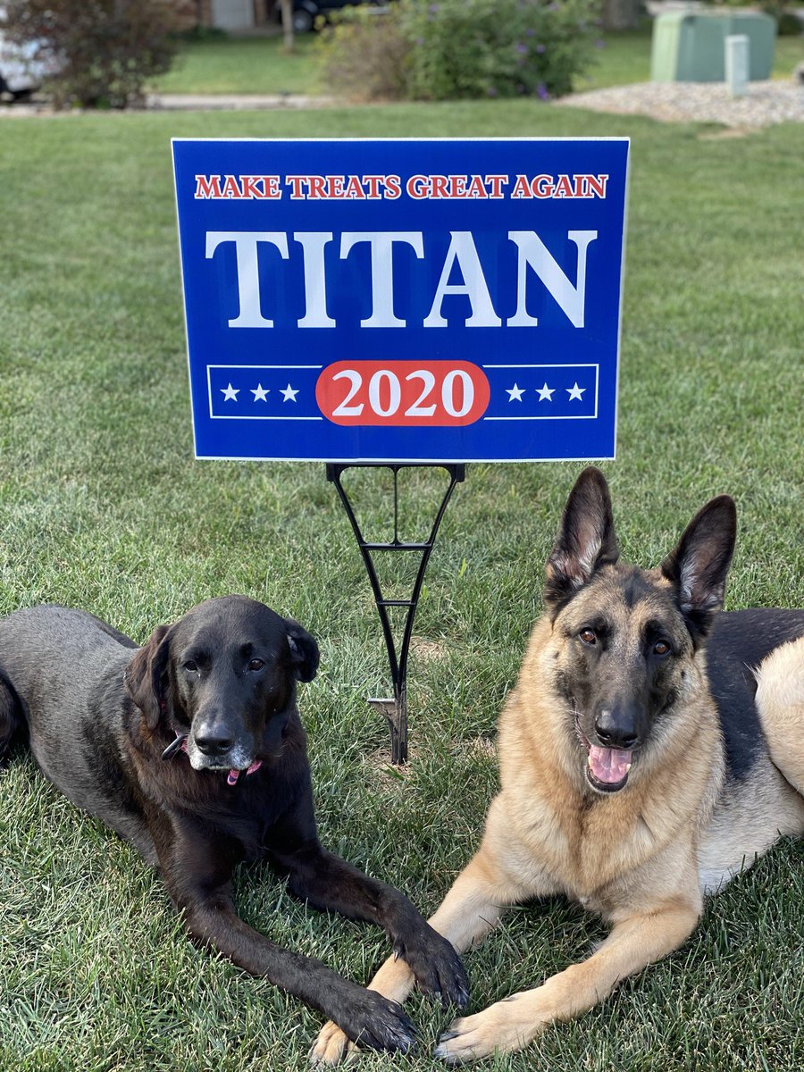 Does Titan (the Shepherd) have your vote? @DarkDispatch @KattWhetstone @Tpr_James_Casey @James_lewis2 @JamesCraigmyle @deannamarsh751 @MuscuttRachel @dmoreno274 @PascoSheriff