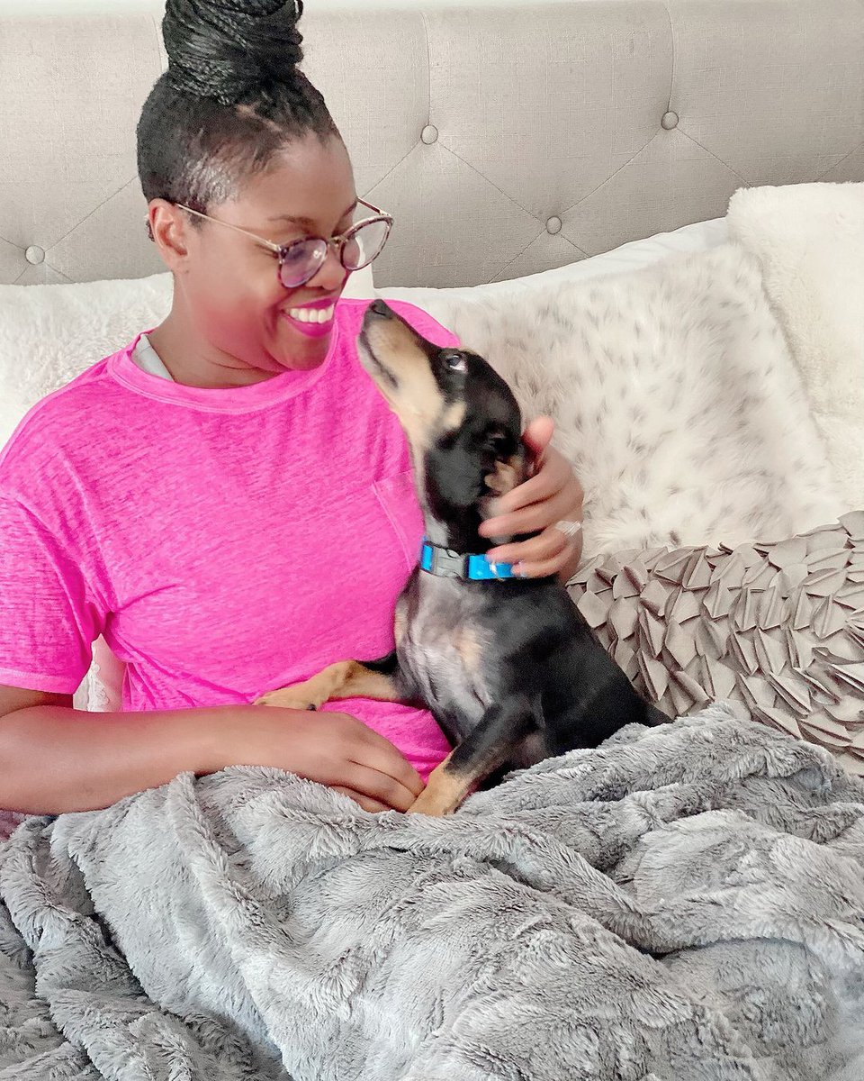 TimeeshaSimone's tweet photo. Sundays are the days to recharge yourself for the week. 🤍 I’m LOVING this blanket by @everlasting_comfort ! It’s my fave thing to Netflix and Chill. Peter seems to love it too🐶❤️ He thinks it’s his, lol. 😂 What do you do to recharge? 🤔Sound off below!⤵️ https://t.co/JvmXcJ7Egv
