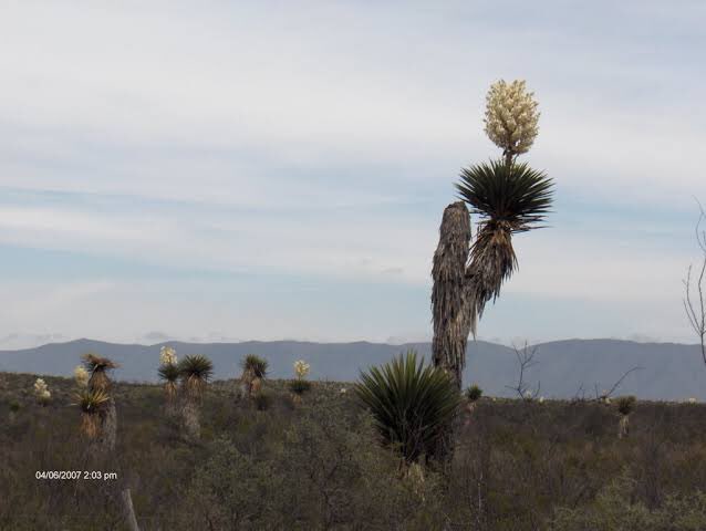 💖nadia tweet media