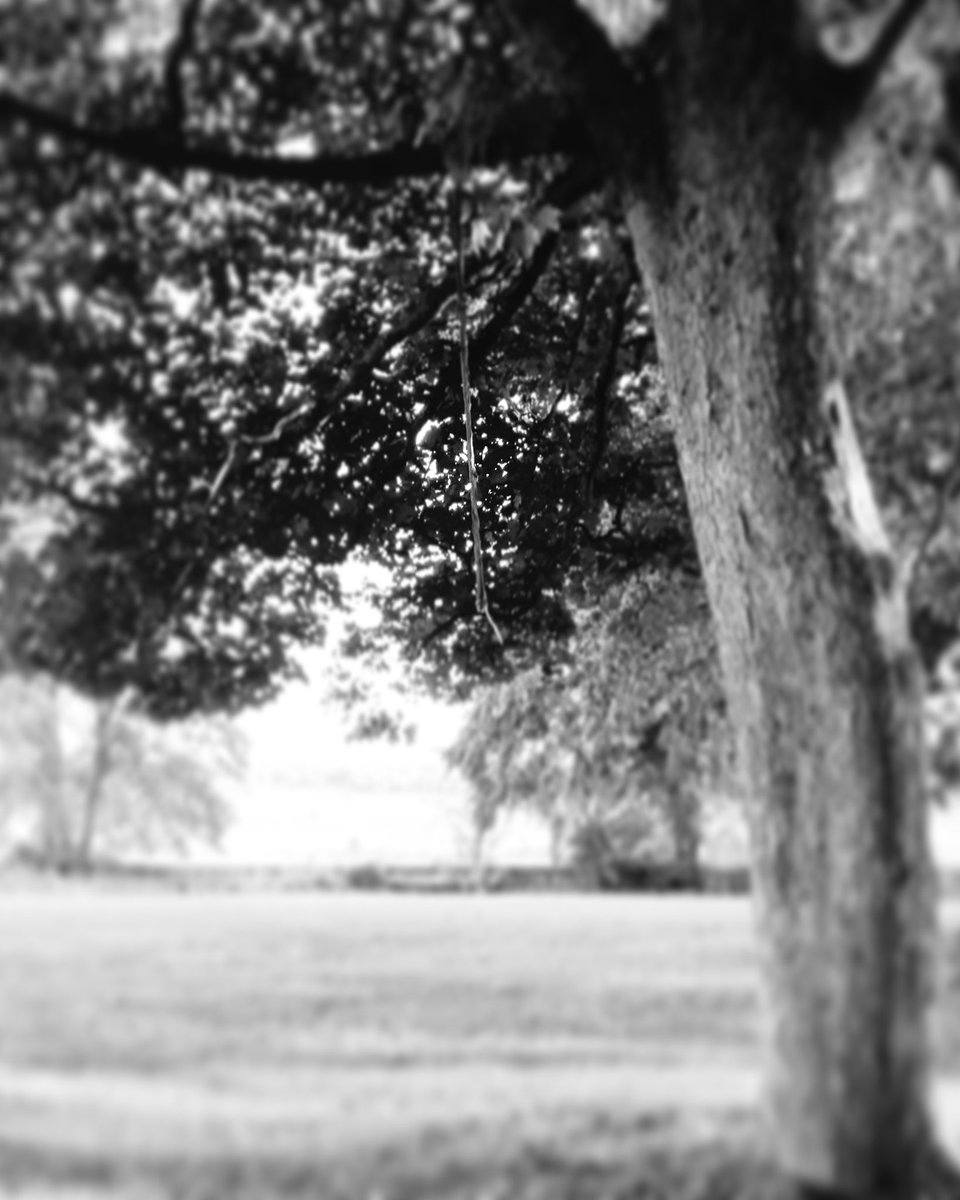 grope_my's tweet photo. Friend asks if he can share this with the caption I wrote
"There comes a point where you no longer care if theres a light at the end of the tunnel or not you're just sick of the tunnel"
Insta friend did not see the cut rope from someones previous attempt. So many emotions in 1💔 https://t.co/b1d4hIgQBb